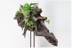 20131003 Klasse 1b  plantaardige sculptuur Internationale Wedstrijd - Concours international – Classe 1b: sculpture végétale - 3  octobre 2013