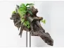 20131003 Klasse 1b  plantaardige sculptuur Internationale Wedstrijd - Concours international – Classe 1b: sculpture végétale - 3  octobre 2013