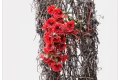 20131003 Klasse 1b  plantaardige sculptuur Internationale Wedstrijd - Concours international – Classe 1b: sculpture végétale - 3  octobre 2013-002