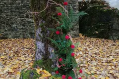 w-IMG_20221015_104729