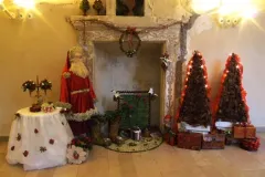 45 jaar BFAS - 29 december 2012 - 45 ans de la BFAS - 29 decembre 2012-01