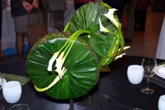 45 jaar BFAS - 29 december 2012 - 45 ans de la BFAS - 29 decembre 2012-15