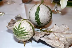 45 jaar BFAS - 29 december 2012 - 45 ans de la BFAS - 29 decembre 2012-20