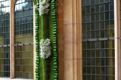 45 jaar BFAS - 29 december 2012 - 45 ans de la BFAS - 29 decembre 2012-23