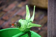 45 jaar BFAS - 29 december 2012 - 45 ans de la BFAS - 29 decembre 2012-25