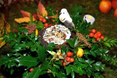 45 jaar BFAS - 29 december 2012 - 45 ans de la BFAS - 29 decembre 2012-26