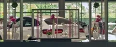  50 jaar BFAS op 18 mei 2017 - 50 ans BFAS - 18 mai 2017-008