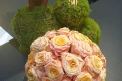  50 jaar BFAS op 18 mei 2017 - 50 ans BFAS - 18 mai 2017-009