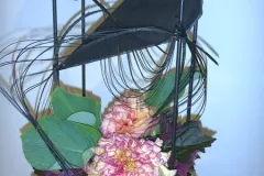  50 jaar BFAS op 18 mei 2017 - 50 ans BFAS - 18 mai 2017-018