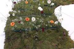  50 jaar BFAS op 18 mei 2017 - 50 ans BFAS - 18 mai 2017-019