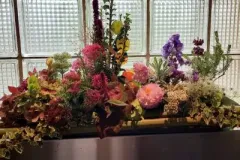 Activiteiten 2023 - Activités 2023