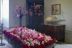 exposition-amaryllis-a-Beloeil-2025-20