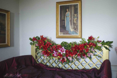 exposition-amaryllis-a-Beloeil-2025-24