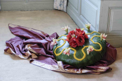 exposition-amaryllis-a-Beloeil-2025-25