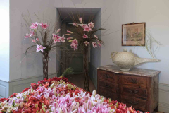 exposition-amaryllis-a-Beloeil-2025-26