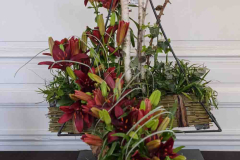 exposition-amaryllis-a-Beloeil-2025-56