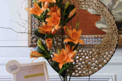 exposition-amaryllis-a-Beloeil-2025-57