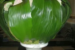 Bloemenrally Malmedy 9 september 2010 - - Rallye Fleuri Malmedy - 9 septembre 2010-021