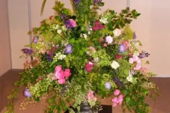 BLOOM 7 juli 2012 - BLOOM 7 juillet 2012-3