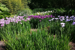 4-am Jardin de Pellinec