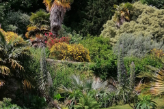 5-pm-Jardin-exotique-de-Kestellic