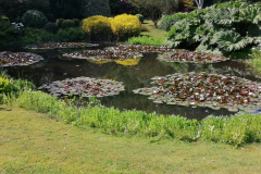 6-pm-jardin-de-Kerlouis