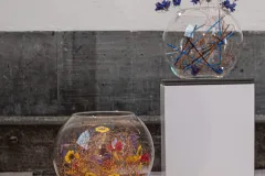 AmF-DSCF0514-Avec-accentuation-Bruit-Modifier-scaled