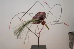 AmF-R0000216-Avec-accentuation-Bruit-Modifier-scaled