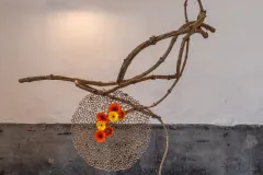 CoM-DSCF0519-Modifier-scaled