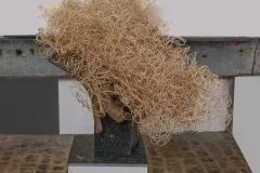 Mit-DSCF0561-Modifier-scaled