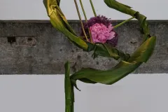 MitDSCF0569-Modifier-scaled