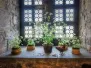 Een middeleeuws kasteel in bloemen - Château médieval en Fleurs - 20 may 2019
