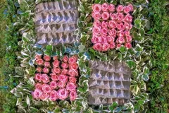 Een middeleeuws kasteel in bloemen - Château médieval en Fleurs - 20 may 2019-003