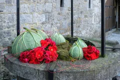 Een middeleeuws kasteel in bloemen - Château médieval en Fleurs - 20 may 2019-020