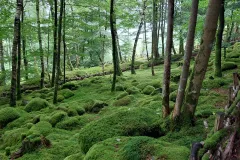 Jardin-de-Berchigranges-1