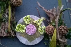 Florilegio - 26 november 2015 - Florilegio - 26 novembre 2015-01