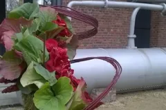 Florilegio - 26 november 2015 - Florilegio - 26 novembre 2015-04