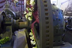 Florilegio - 26 november 2015 - Florilegio - 26 novembre 2015-07