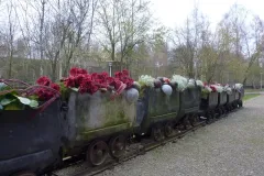 Florilegio - 26 november 2015 - Florilegio - 26 novembre 2015-11