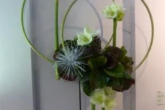 Florilegio - 26 november 2015 - Florilegio - 26 novembre 2015-14