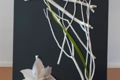 20151126-Florilegio-16