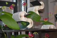 Florilegio - 26 november 2015 - Florilegio - 26 novembre 2015-20