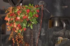 Florilegio - 26 november 2015 - Florilegio - 26 novembre 2015-22