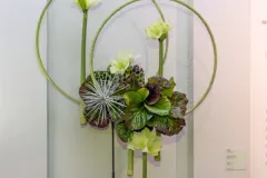 Florilegio - 26 november 2015 - Florilegio - 26 novembre 2015-30