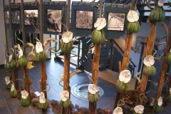 Florilegio - 26 november 2015 - Florilegio - 26 novembre 2015-38