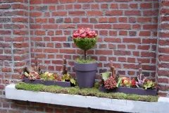 Florilegio - 26 november 2015 - Florilegio - 26 novembre 2015-42