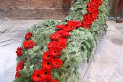 Florilegio - 26 november 2015 - Florilegio - 26 novembre 2015-44