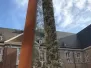 Activiteiten 2019 - Activités 2019