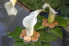 Fonteinen in Bloei - 20 september 2019 - Fontaines en Fleurs - 20 septembre 2019-004