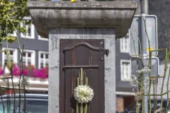 Fonteinen in Bloei - 20 september 2019 - Fontaines en Fleurs - 20 septembre 2019-009